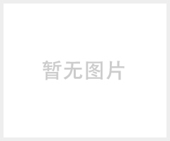 燃气土耳其烤肉机